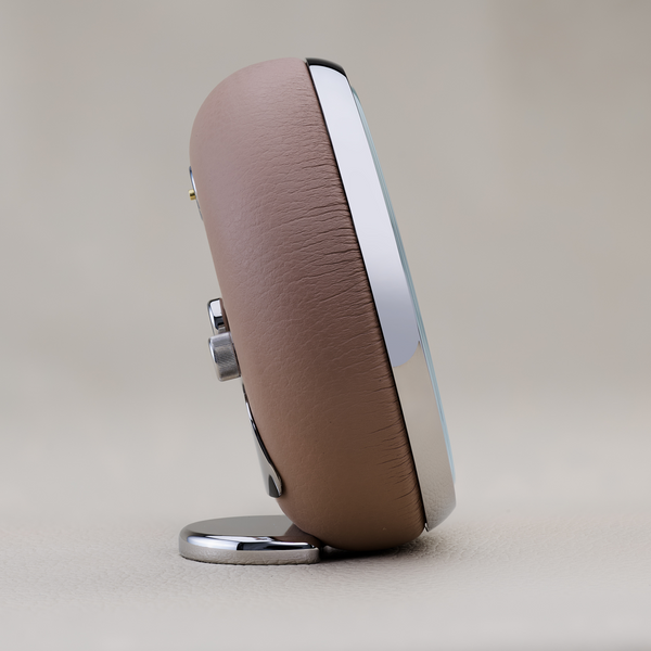 The Salmon Alarm Clock